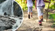 Perth's Top Kid-Friendly Hikes for the Final School Holiday Days