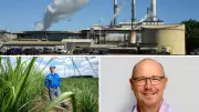 Queensland Sugar Industry Targets Renewable Energy Leadership Following Inquiry