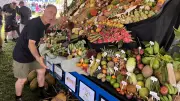 Rare Durian Variety Sells for $200 at Innisfail Festival Auction