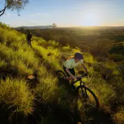 Red Centre Turns Green After Record Rainfall in Central Australia