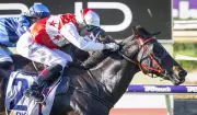 Rope Them In Firms as Quokka Contender After Stunning Roma Cup Victory