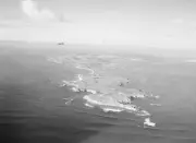 Rottnest Island's Colonial Past Revealed in Timperley Memoir