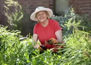 Sabrina Hahn's Gardening Tips: Safe Rat Control and Citrus Gall Wasp Solutions