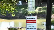 Sewage Spill in Freshwater Creek Triggers Urgent Health Alert for Cairns Residents