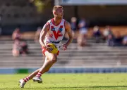 South Fremantle Aims for 18th Straight Win in WAFL Top-of-Table Clash
