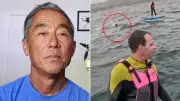 Surfer Chased by 4-Metre Shark in Terrifying Ocean Hunt