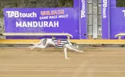 Timmy Tesla Ends Victory Drought with Mandurah Greyhound Win