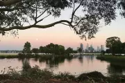 Toxic bacteria detected at two South Perth lakes, pets at risk