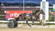 Triedtotellya Withdrawn from Nullarbor Due to Illness, Replaced by Hugotastic