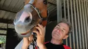 Veteran Queensland Jockey Shane McGovern Has Second Leg Amputated After Freak Accident