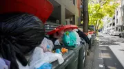 Victoria Park Council Rejects Weekly Red Bin Collection Push