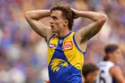 West Coast Eagles' Derby Defeat: Three-Word Player Analysis After 62-Point Loss to Fremantle