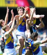 West Coast Eagles' Tall Stocks Soar with Expanded Bench, Says Danielle Laidley
