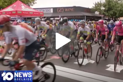10 News Daily Video Highlights South Australia's Top Stories