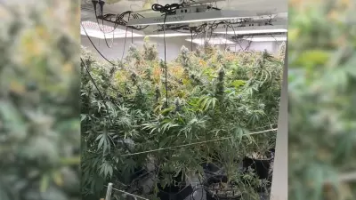 15 Charged in Major Cairns Drug Crackdown Seizures