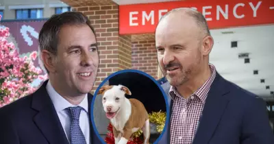 ACT Secures Key Budget Wins Amid Federal Government Shift