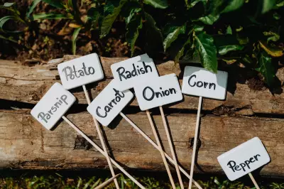 Best Potting Mix for Winter Vegetables: Expert Tips for Healthy Growth