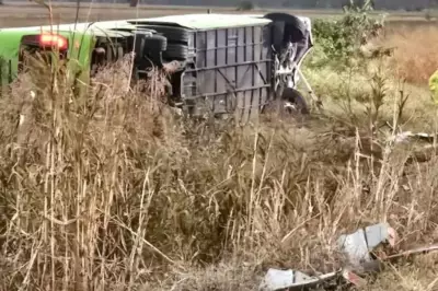 Bus Crash in North Queensland Leaves Multiple Injured