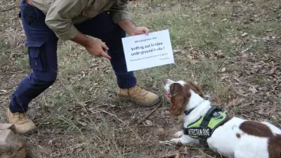 Cook Shire Council Uses Sniffer Dog to Find Costly Underground Leaks
