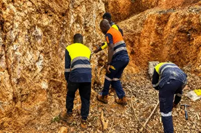 Dalaroo Metals Completes Major Soil Sampling at Gold Ridge Prospect
