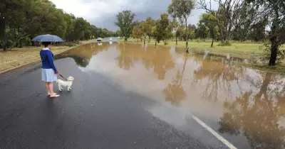 Federal Budget Allocates $50 Million for Drake Brockman Drive Upgrade