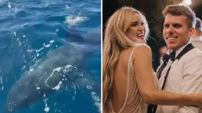 Fishermen Film Massive Great White Shark Near Fatal Attack Site at Rottnest