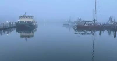 Fog blankets Hunter region, flood watch issued: live updates