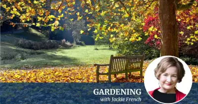 Garden Therapy: The Health Benefits of Spending Time Outdoors
