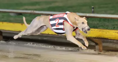 Grafton Gears Up for 2026 Ladbrokes Thunderbolt Final on June 20
