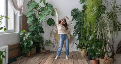 How Indoor Plants Can Boost Your Winter Mood and Reduce Stress