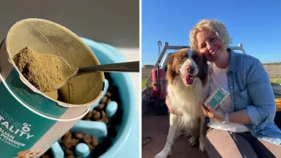 How Mussel Powder Can Slash Your Pet's Vet Bills