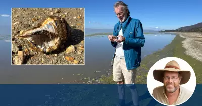 Lake George Mystery Solved: Sea Shells and Smoke Columns Explained