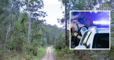 Matthew Hollebone pleads guilty to Newcastle crime spree