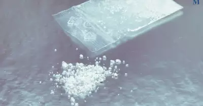 Michael Zadel: Fish Shop Owner Sentenced for Drug Supply