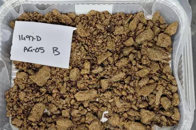 Red Metal Advances Low-Cost Rare Earths Processing at Sybella