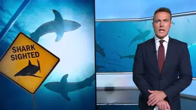 Spear Fisherman Killed by Shark on Great Barrier Reef