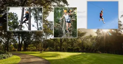 TreeClimb Proposes Treetop Adventure Course at Wollongong Botanic Garden