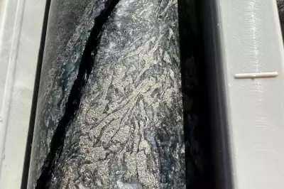 Western Mines Hits 230m Nickel Zone at Mulga Tank Project