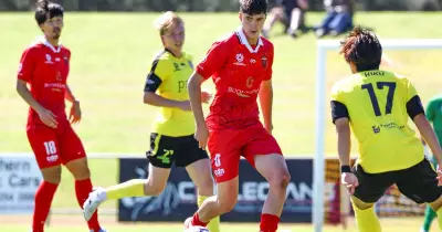 Wollongong Wolves' Young Talent Fuels Unbeaten NPL Run