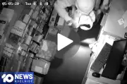 10 News Daily Video Highlights South Australia's Latest Stories