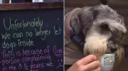 Adelaide Dog Cafe Faces Fine Over Single Complaint