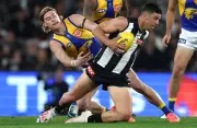 AFL Legend Warns West Coast Eagles Not to Forget Fundamentals Amid Milestone Hype