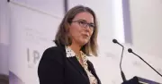 Audit Office Finds No Evidence of AI Bots in FOI Report
