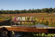 Bickley Harvest Festival and Top Events in Perth This May