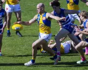 Brandon Starcevich set for West Coast Eagles AFL debut this week