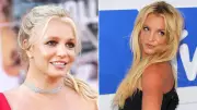 Britney Spears pleads guilty to reckless driving, avoids jail in DUI case