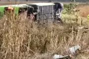 Bus Crash in North Queensland Leaves Multiple Injured