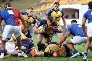Carlo Tizzano Reflects on 50 Games for Western Force