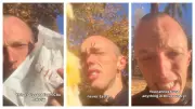 Comic Josh Hauville's croissant snatched by bird in viral Perth moment