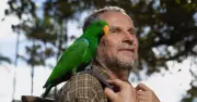 Cookie the Parrot: Blackbutt Reserve Enforces Ban After 7 Years